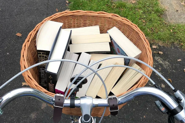 Allotment Bike Basket - Image 7