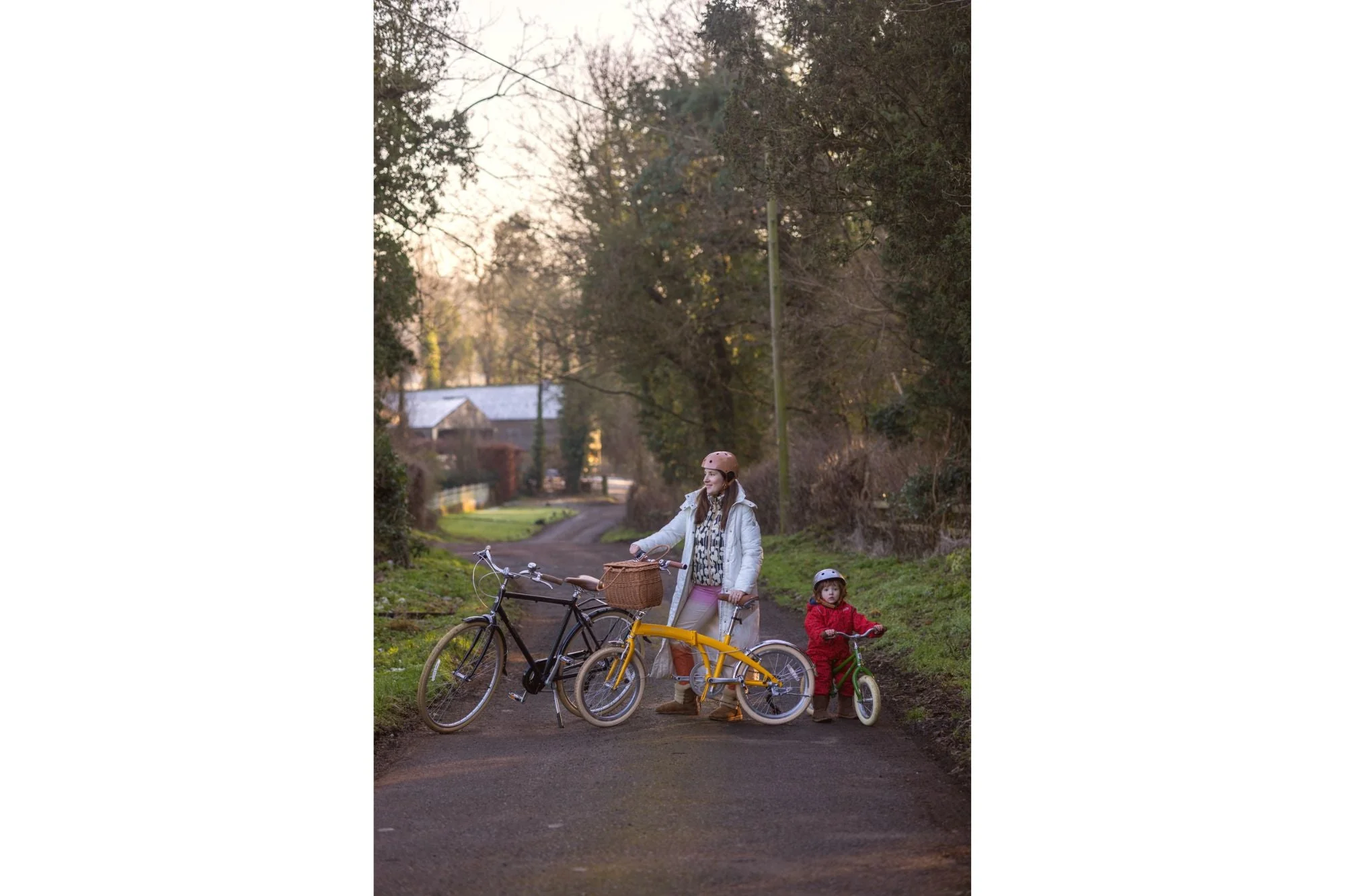 Fold Folding Bike - Image 7