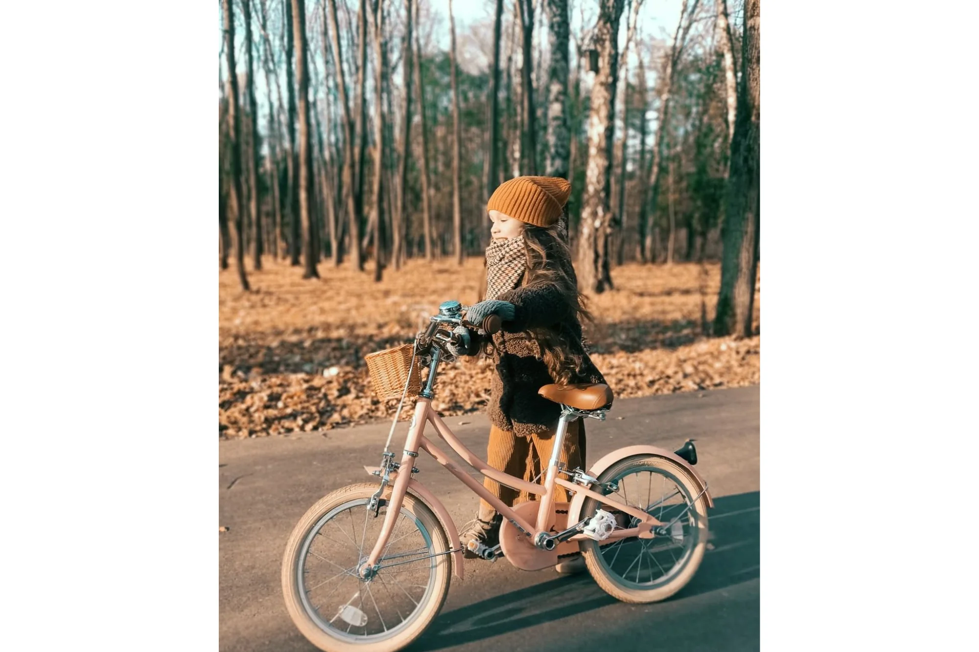 Gingersnap 20" Wheel - Image 16