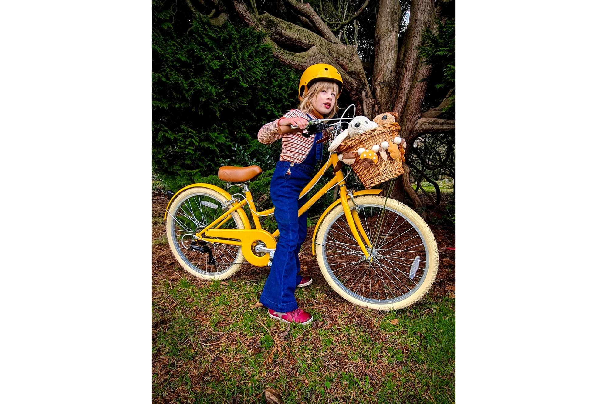 Gingersnap 24" Wheel - Image 14