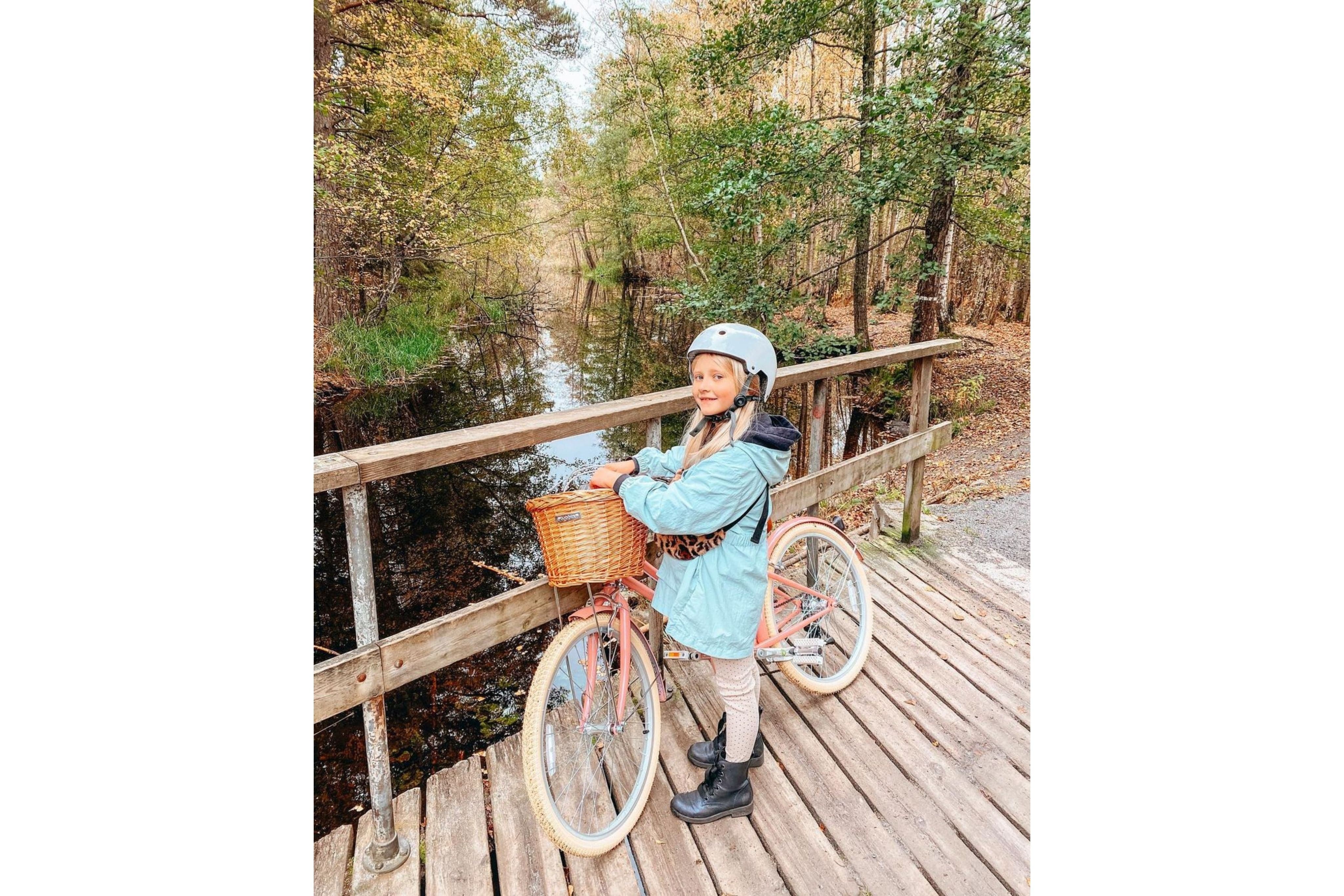 Gingersnap 24" Wheel - Image 22
