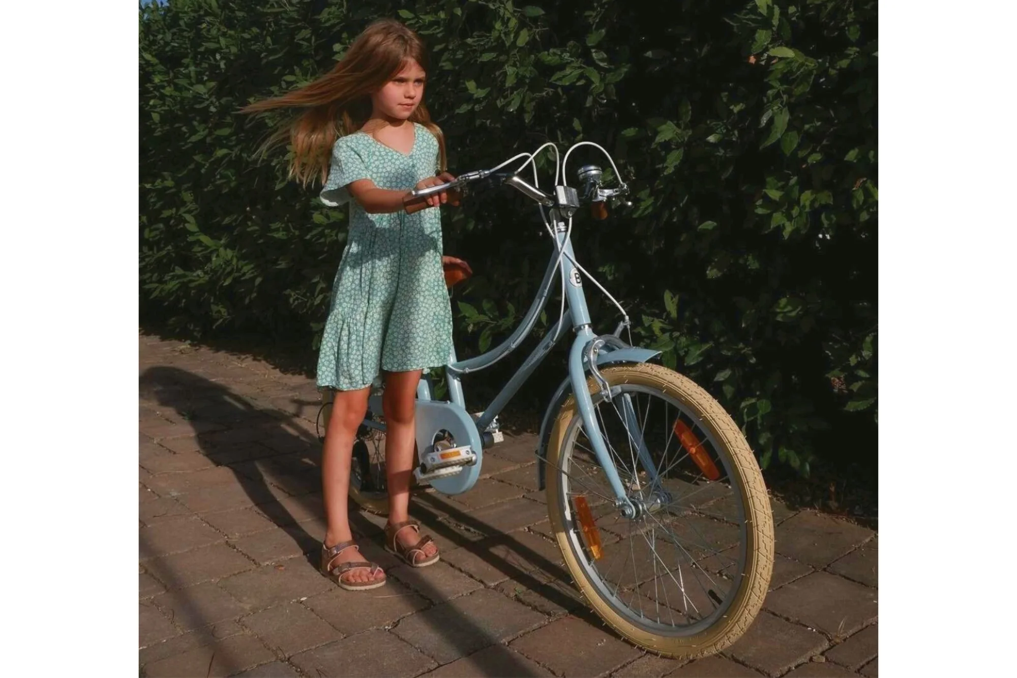 Gingersnap 24" Wheel - Image 7