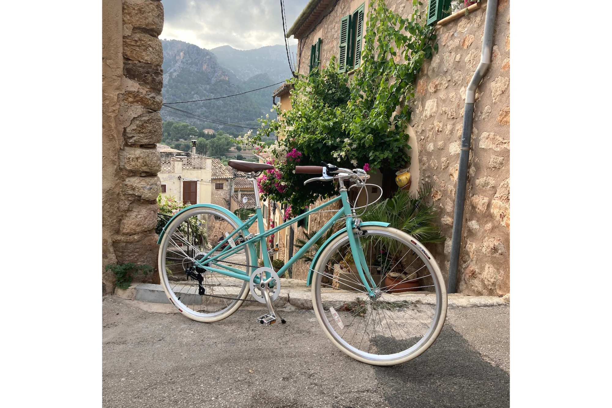 Hummingbird Vintage Bike - Image 11