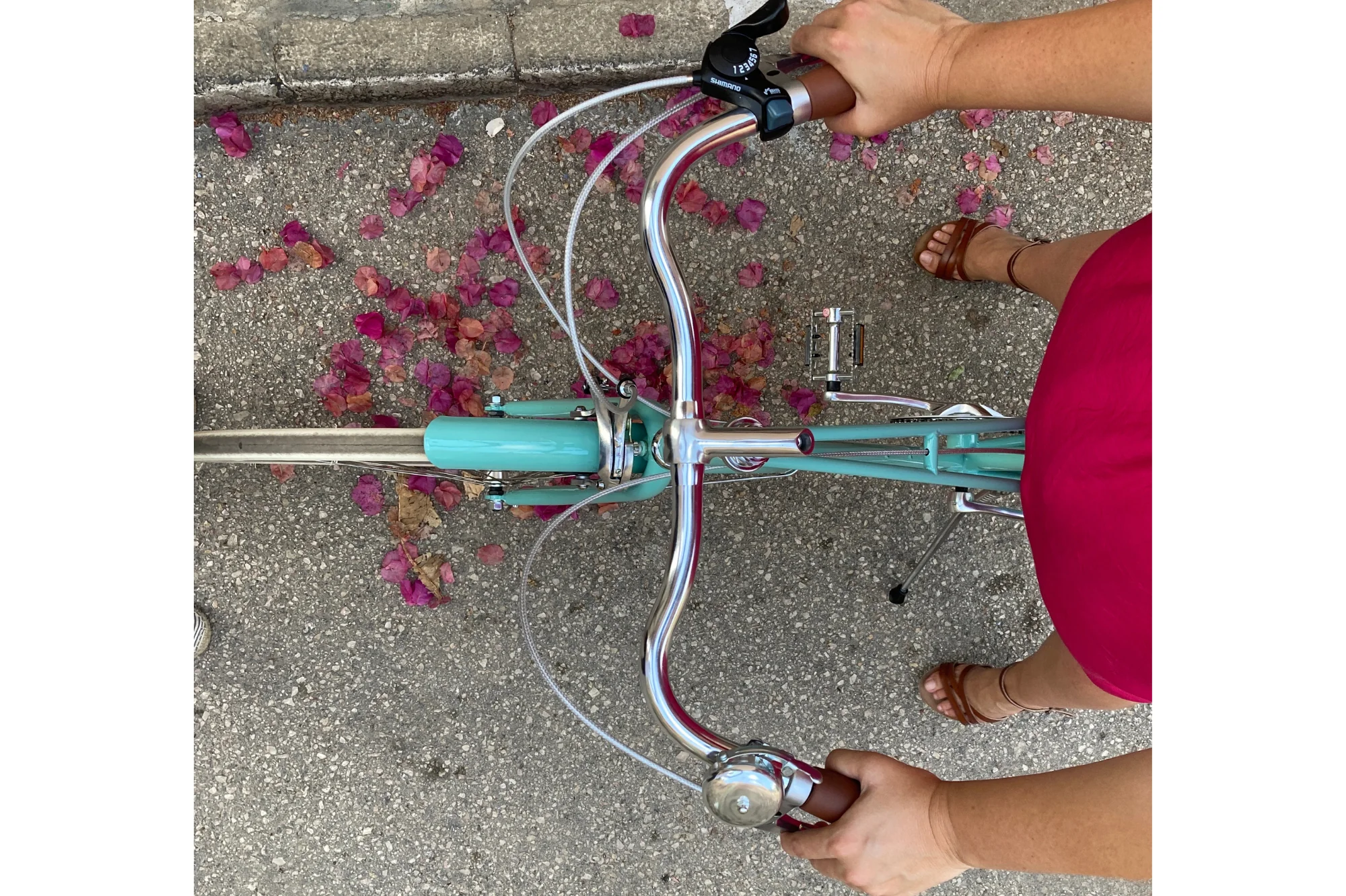 Hummingbird Vintage Bike - Image 12