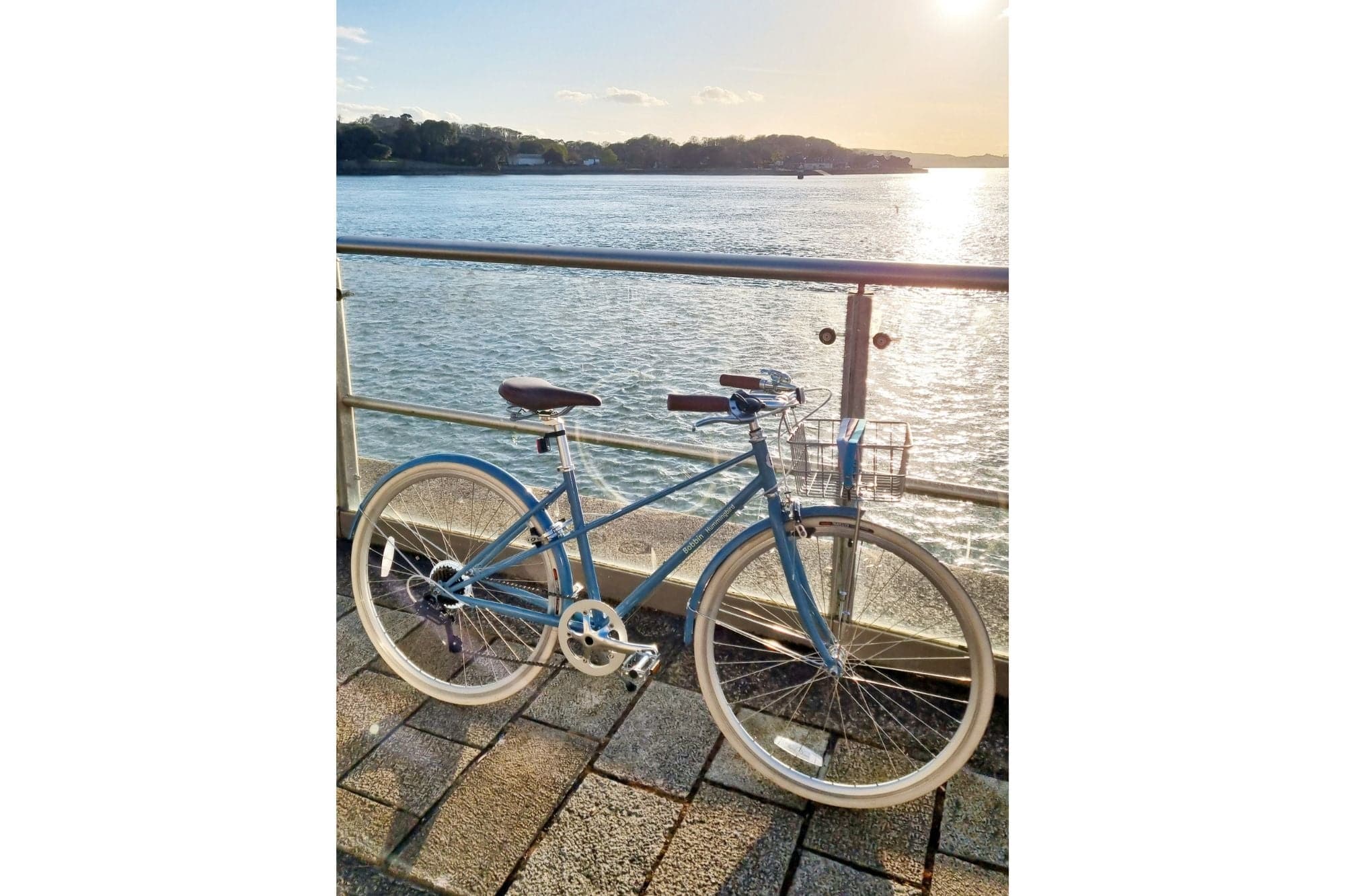 Hummingbird Vintage Bike - Image 25